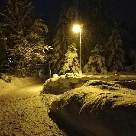 Horska Chata Jezek Lodge Harrachov